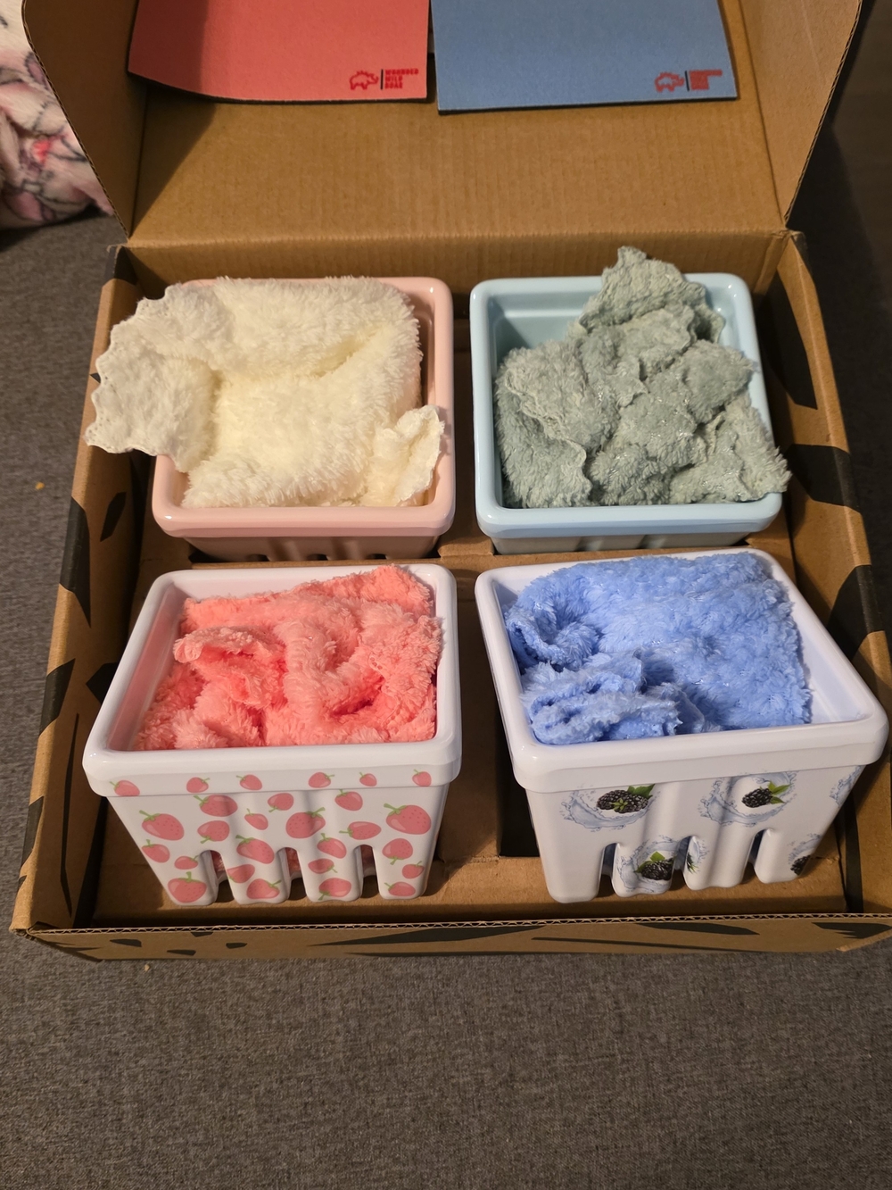 Ceramic Berry Dishes 4-Pack With Washclothes And Safety Mats